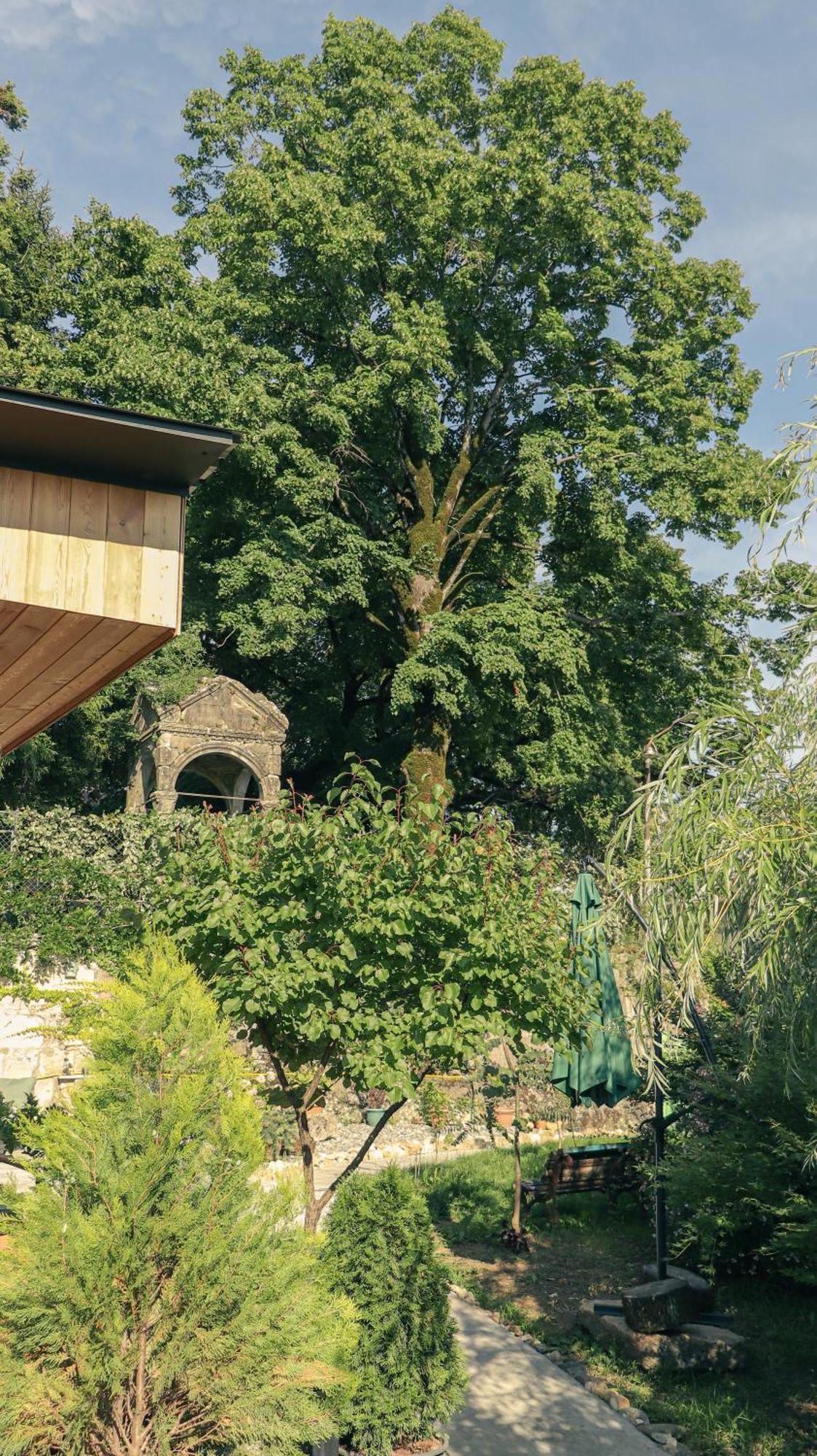 Garden Rooms In كوتايسي المظهر الخارجي الصورة